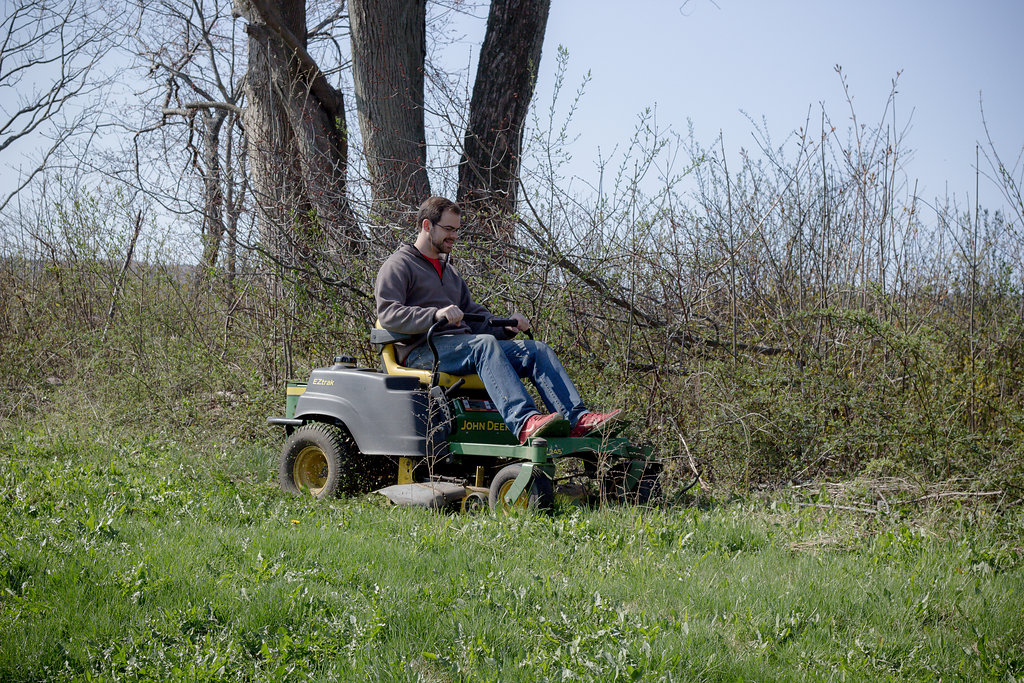 Lots of mowing